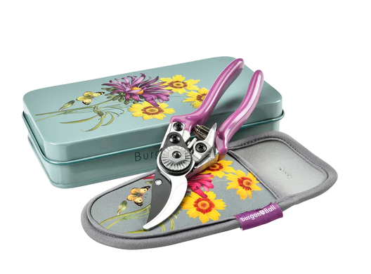 Asters sekatør sett (Pruner and holster set)