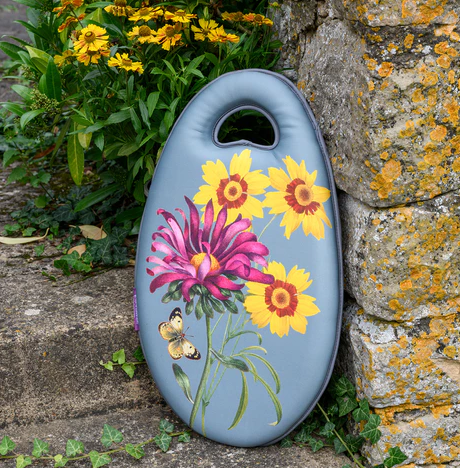 Asters kneplate (Kneelo)