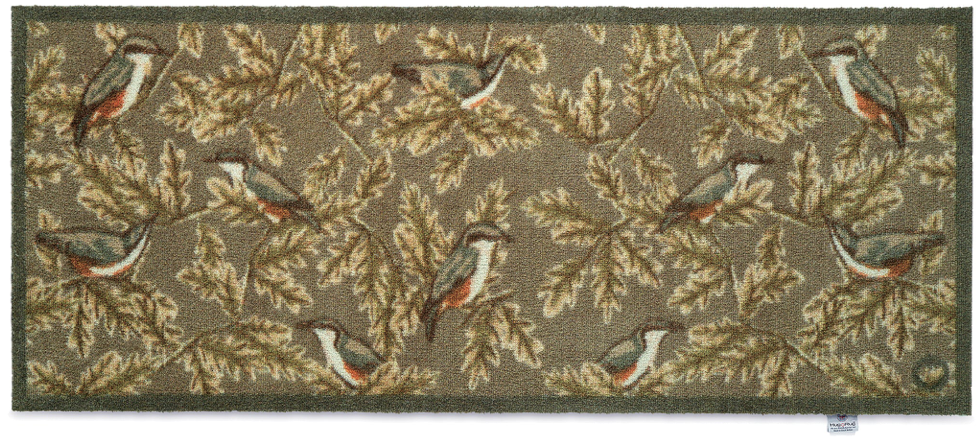 HR A Birds Nuthatch 1