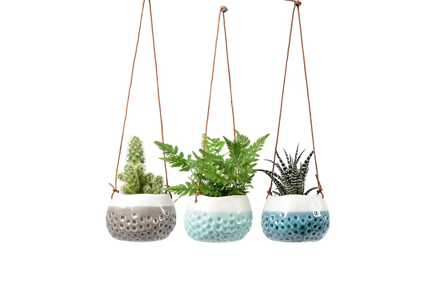 Ampel - Baby Dotty ('Baby Dotty' Hanging Pot)