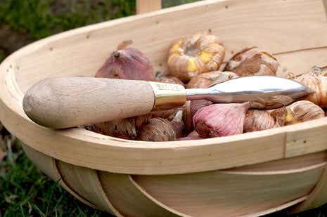 SC Plantepinne (Dibber)