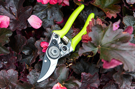 Grønn mini sekatør (Green Pocket Pruner)