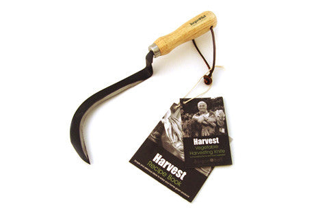 Grønnsakskniv (Vegetable Knife)