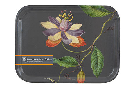 Passiflora brett (Passiflora tray)