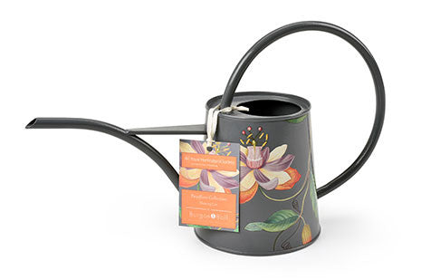 Passiflora innendørs vannkanne (Passiflora indoor can)