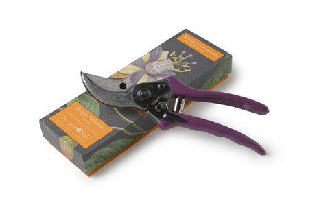 Passiflora serie: sekatør (Sekateur)