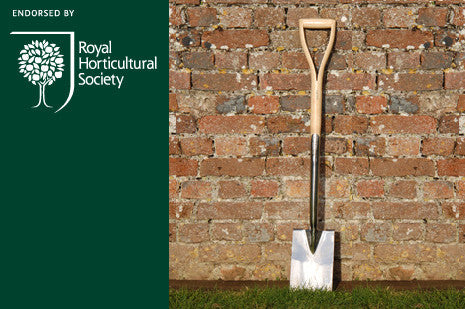 DNH Bedspade (Border Spade)