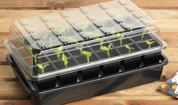 GP Selv-vanning frøkasse (Self-watering propagator)