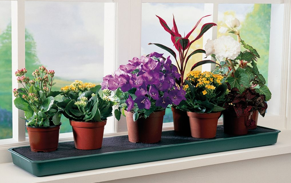 GP Selv-vanning vinduskarme plantebrett (Self-watering windowsill plant tray)