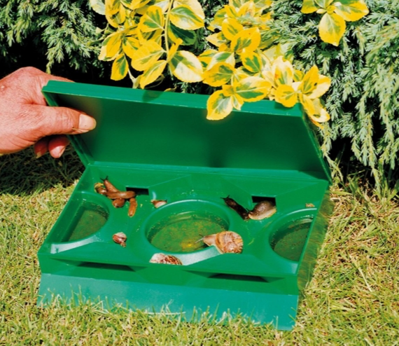 GP Sneglefelle (Slug trap)