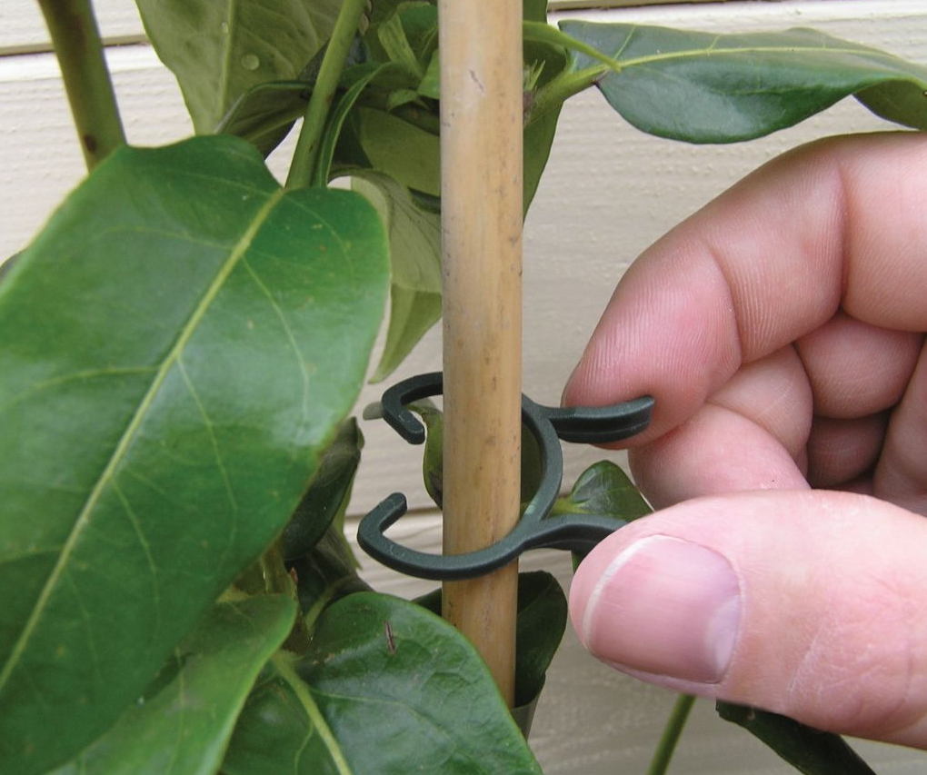 GP Planteklips (Plant clips)