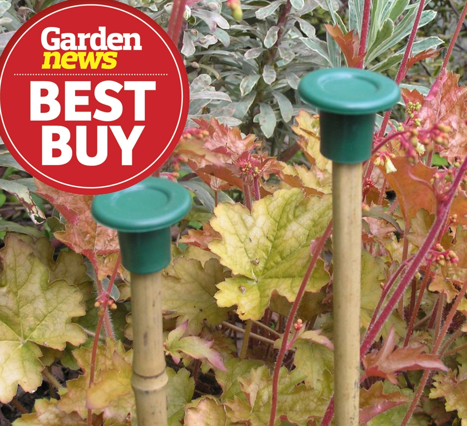 GP Stokkhetter (Cane caps)