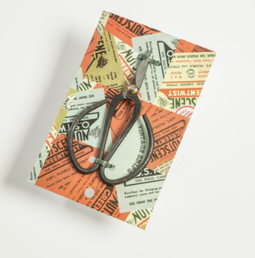 NS Bonsai saks (Bonsai scissors)