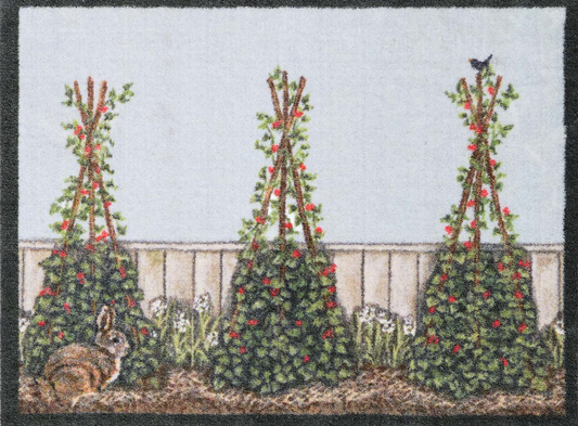 HR AS Grønnsakshage (Aura serie fra Sally Swannell)