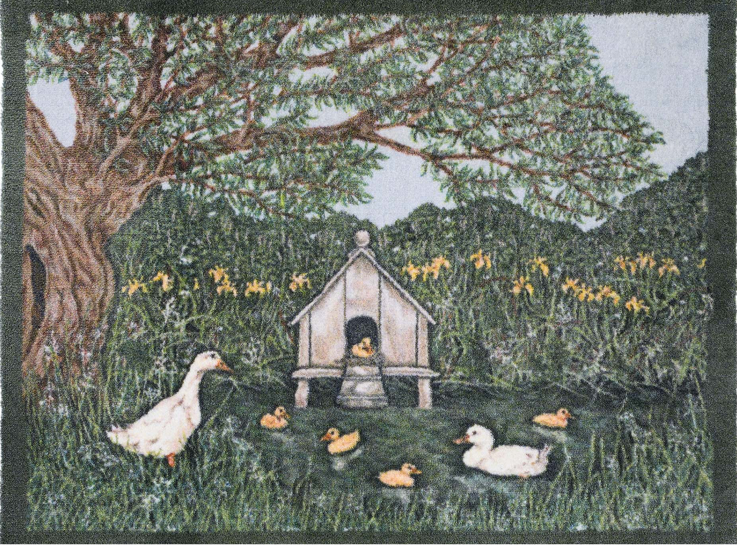 HR AS Duckhouse (Aura serie fra Sally Swannell)