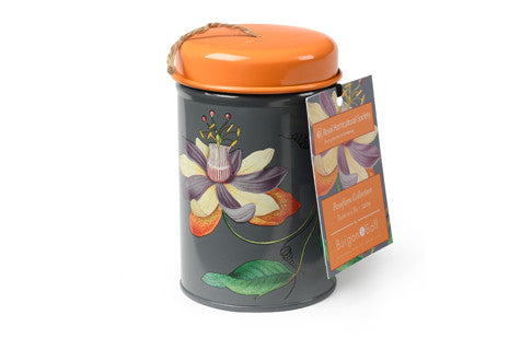 Passiflora hyssing i boks (Passiflora twine in a tin)