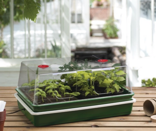 GP Minidrivhus med undervarme (XL High Dome Electric Propagator)