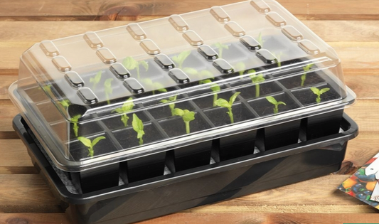 GP Selv-vanning frøkasse  (Self-watering propagator)